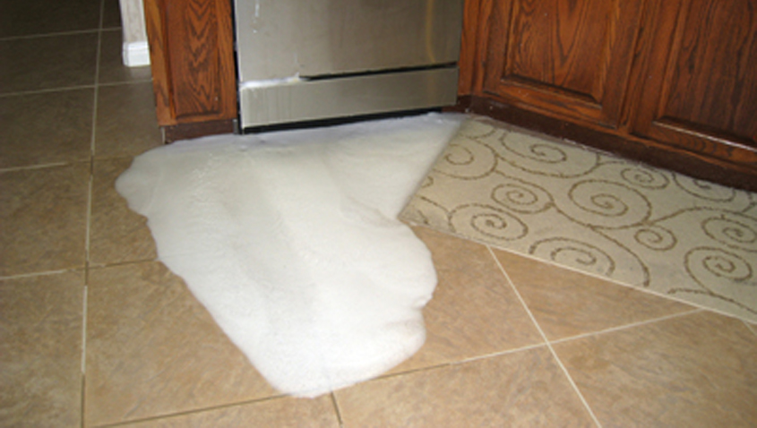 leaky-dishwasher-content